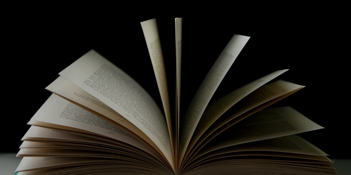 初夏的午后，与书相伴