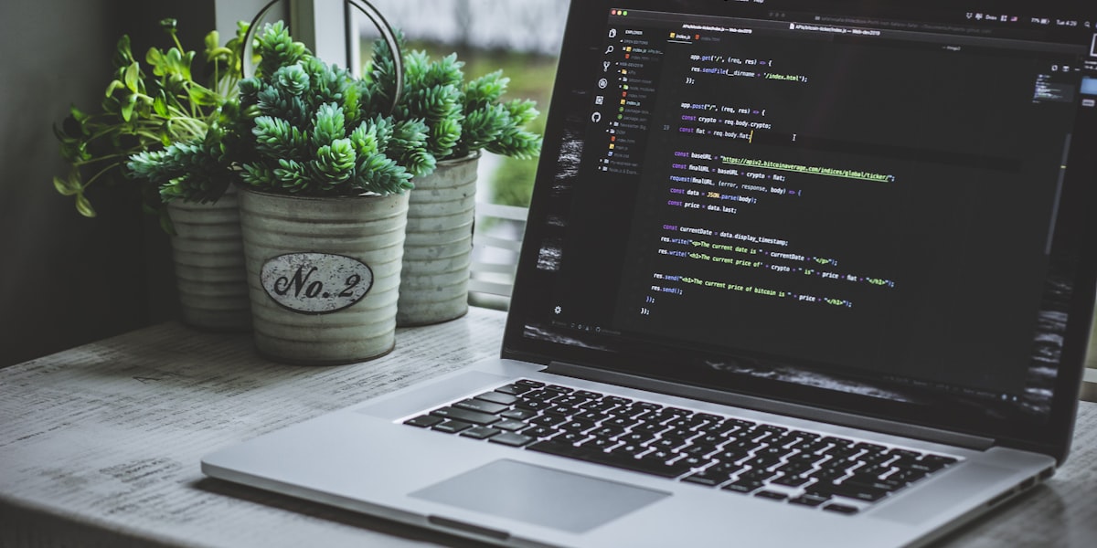 我的编程学习之旅